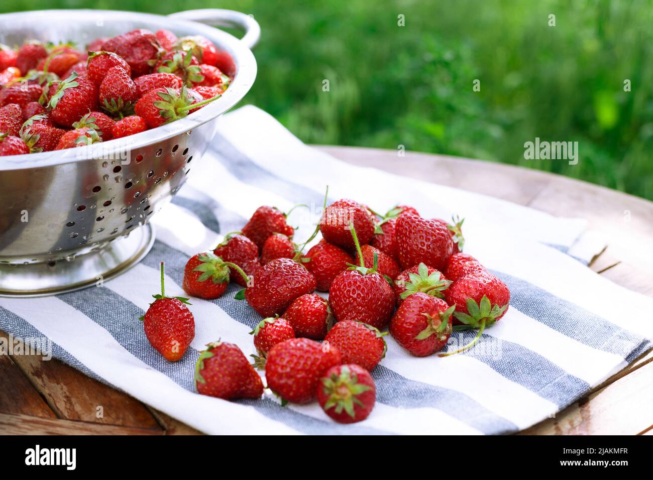 Sieb mit Erdbeeren im Garten. Lecker und gesund im Sommer Stockfoto
