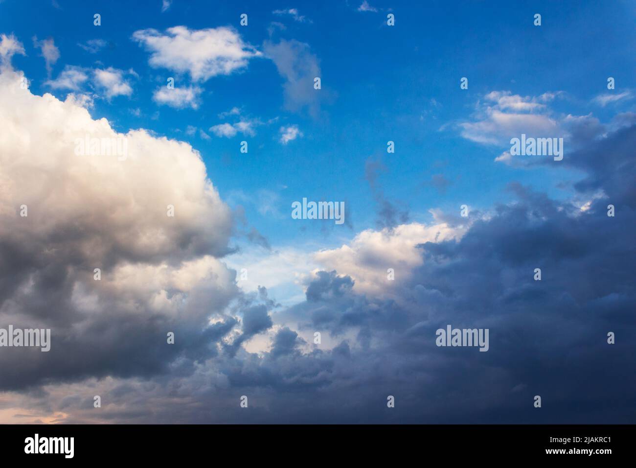 Weiße Cumulus Wolken auf einem blauen Himmel. Schöner Naturhintergrund im Abendlicht Stockfoto