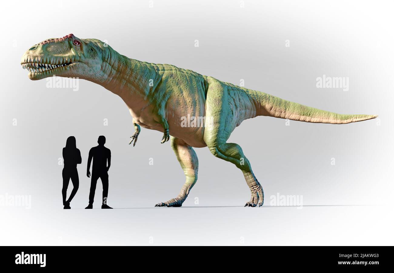 Menschen im Vergleich zu Giganotosaurus Stockfoto