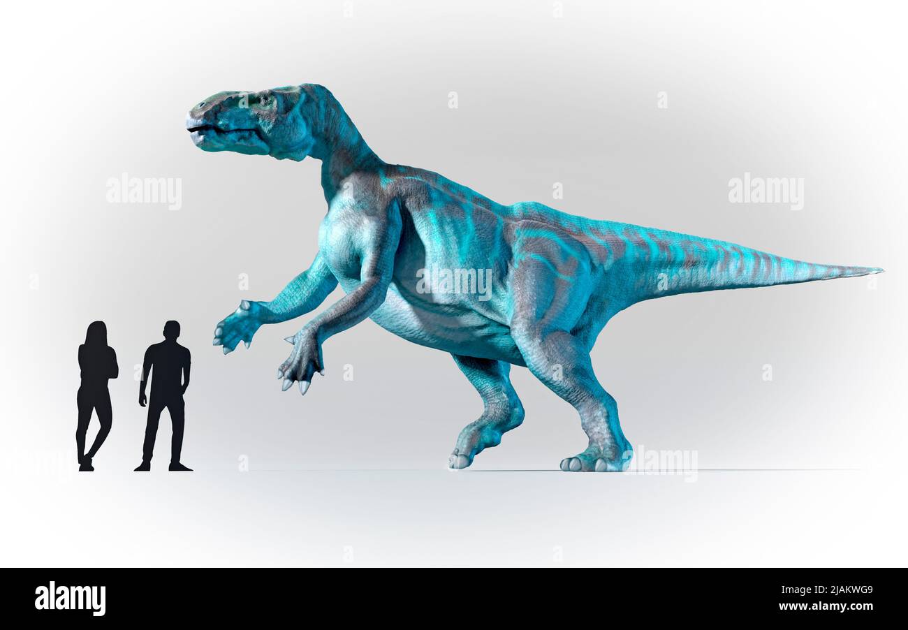 Menschen im Maßstab mit Iguanodon verglichen Stockfoto