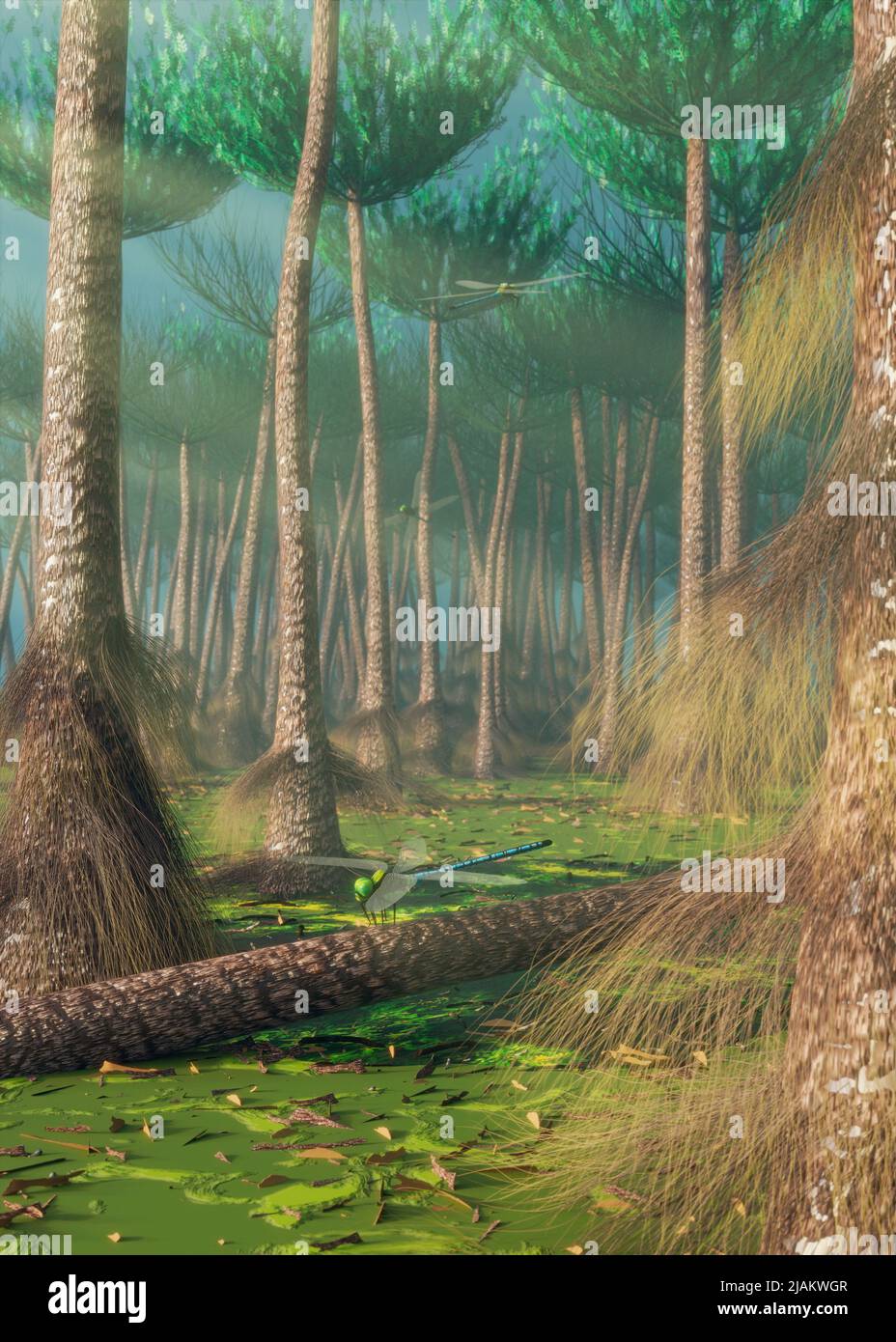 Wattieza: Einer der frühesten bekannten Bäume Stockfoto