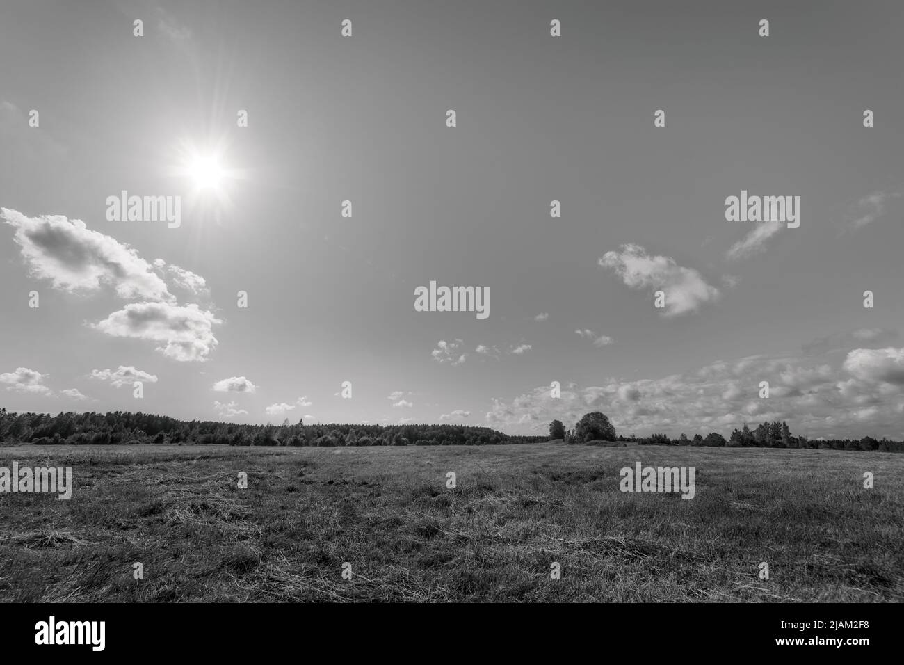 Feld und Wald unter der hellen Sonne am Mittag. HDR-Schwarzweiß-Landschaft Stockfoto