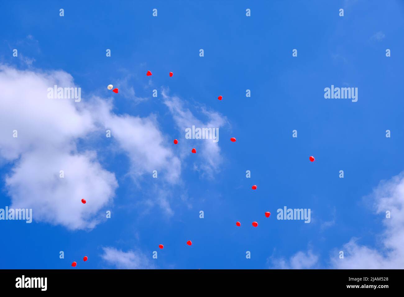 Herzförmige Luftballons steigen in den blau-bewölkten Himmel. Stockfoto