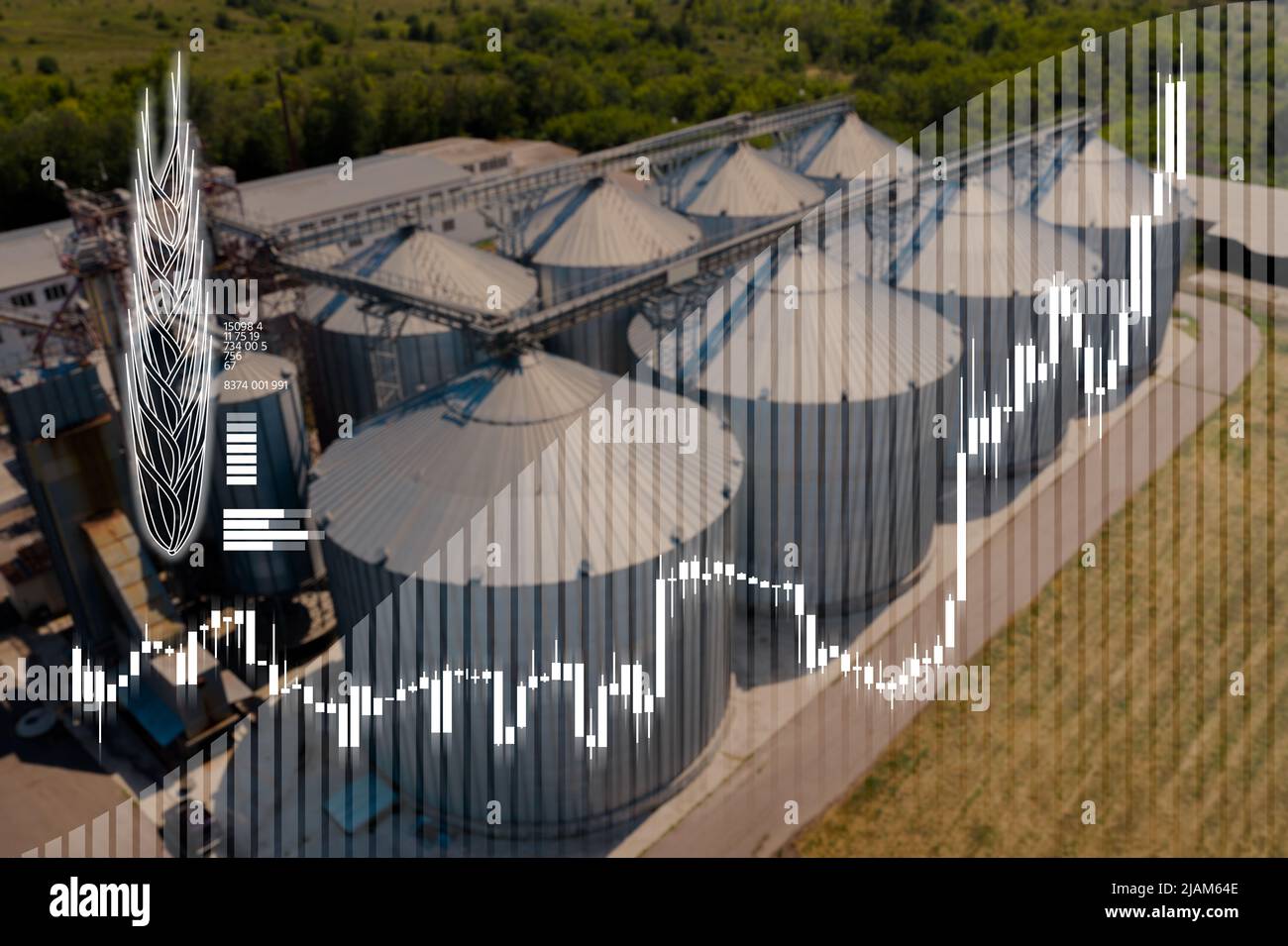 Diagramm zum Wachstum des Weizenpreises vor dem Hintergrund des Getreidesilos Stockfoto