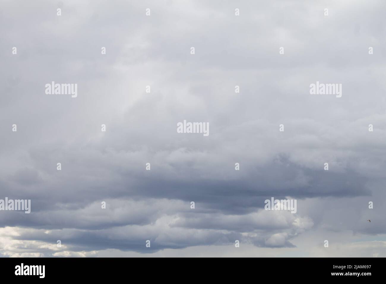 Niedrige dichte graue Regenwolken. Der Himmel ist fast vollständig mit Cumulonimbuswolken bedeckt. Blick vom Boden. Stockfoto