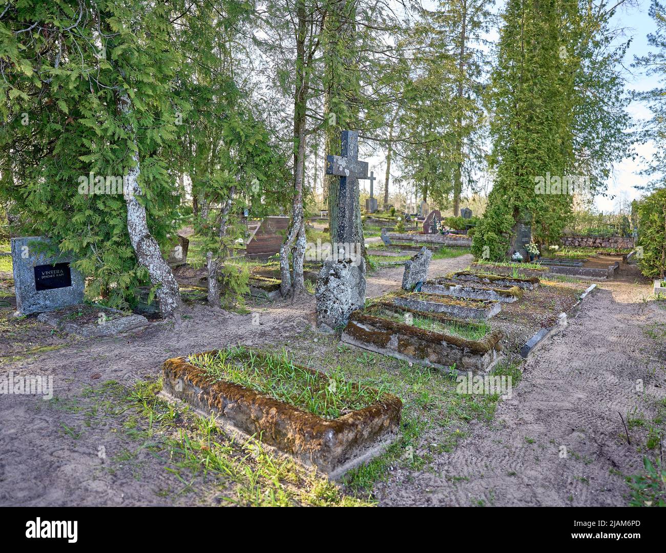Grabstein und Gräber mit Kreuz auf einem alten Friedhof. Betonsteine mit Moos bedeckt. Stockfoto
