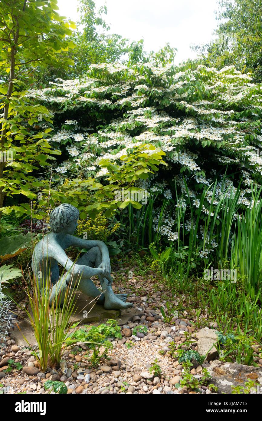 Cornus Controversa variegata - Hochzeitstorte - mit Skulptur Stockfoto Cornus Controversa variegata - Hochzeitstorte - mit Skulptur Stockfoto