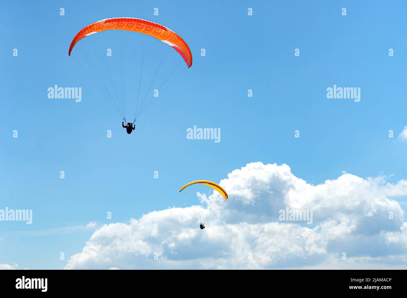 Gleitschirme im Flug gegen den Himmel. Stockfoto