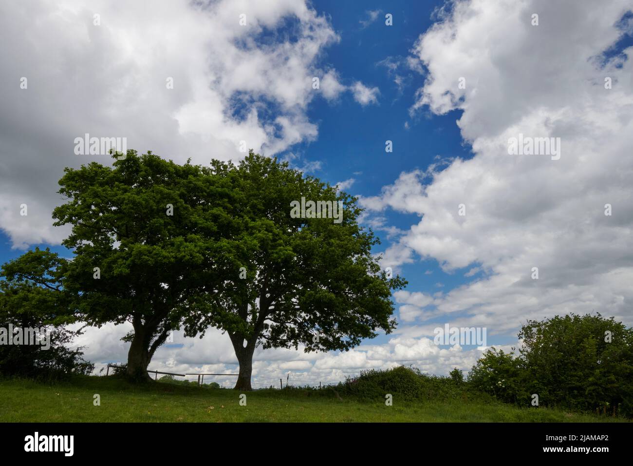 UK Wetter: 31. Mai 2022, veränderliche Bedingungen, Bickington, Newton Abbot, Devon Stockfoto