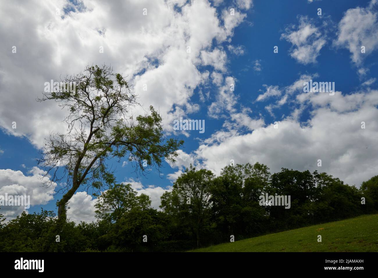 UK Wetter: 31. Mai 2022, veränderliche Bedingungen, Bickington, Newton Abbot, Devon Stockfoto