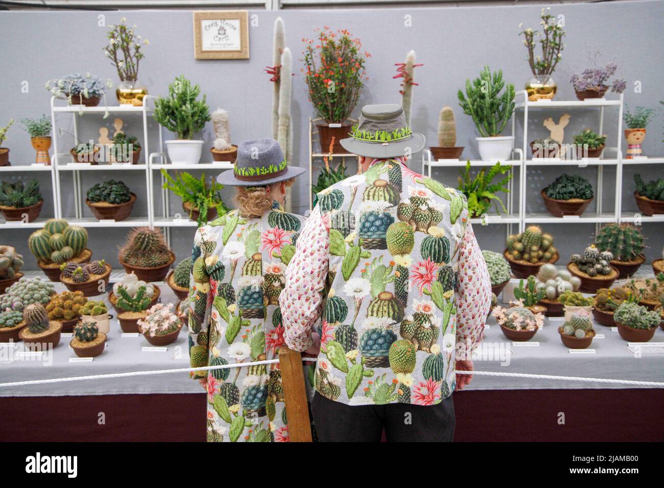 Ein Paar in Anzgen, die mit Bildern von Kakteen bedeckt sind, studiert  eine Kaktusausstellung auf der RHS Chelsea Flower Show Stockfotografie -  Alamy