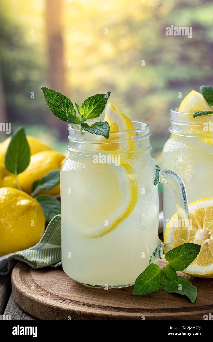 Glas Limonade mit Minze und Zitrone auf einem Holztablett mit ländlichem Hintergrund Stockfoto