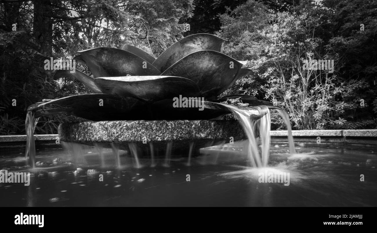 Riesige Kamelien förmigen Kupfer-Metall-Wasser-Funktion und Teich innerhalb der Gartenanlage von Trewihen Gardens. Längere Verschlusszeit, bei der Wasser verschwommen ist. Stockfoto