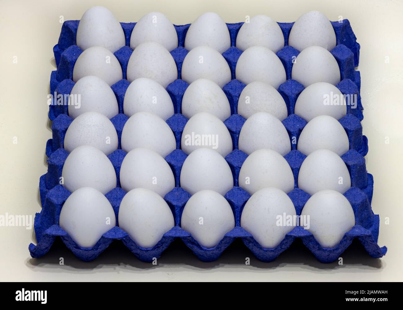 Weiße Hühnereier in Pappkarton. Verpackte Eier auf dem Markt zu verkaufen. Isolierter Hintergrund Stockfoto