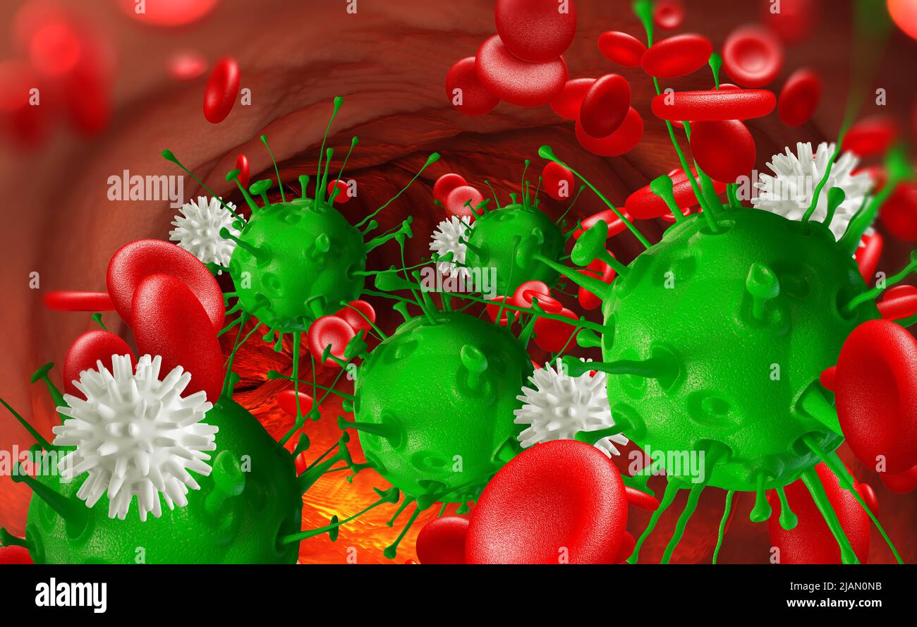 Leukozyten greifen das Virus im Blut an. Mikroben unter dem Mikroskop. Krankheit, Infektion, Entzündung Stockfoto