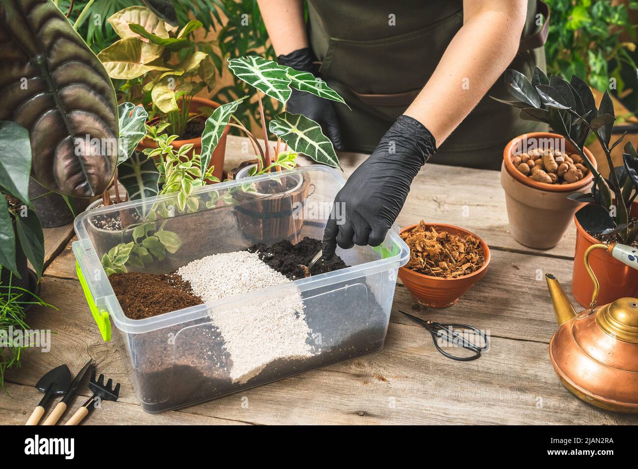 Arbeiter im Pflanzengeschäft, die schwarze Handschuhe mit den Zutaten der Bodenmischung im Plastikbehälter vermischen. Home Gardening Konzept. Kultivierung und Pflege für die Stockfoto