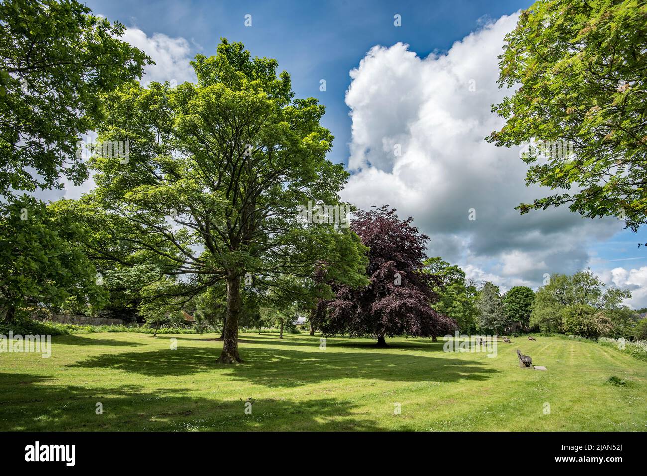 Bäume werden in einem öffentlich zugänglichen Park am Fluss Aire in Gargrave gesäumt. Ein wunderbarer Ort, um sich 1 Minuten von der Pennine Way Route zu erholen. Stockfoto