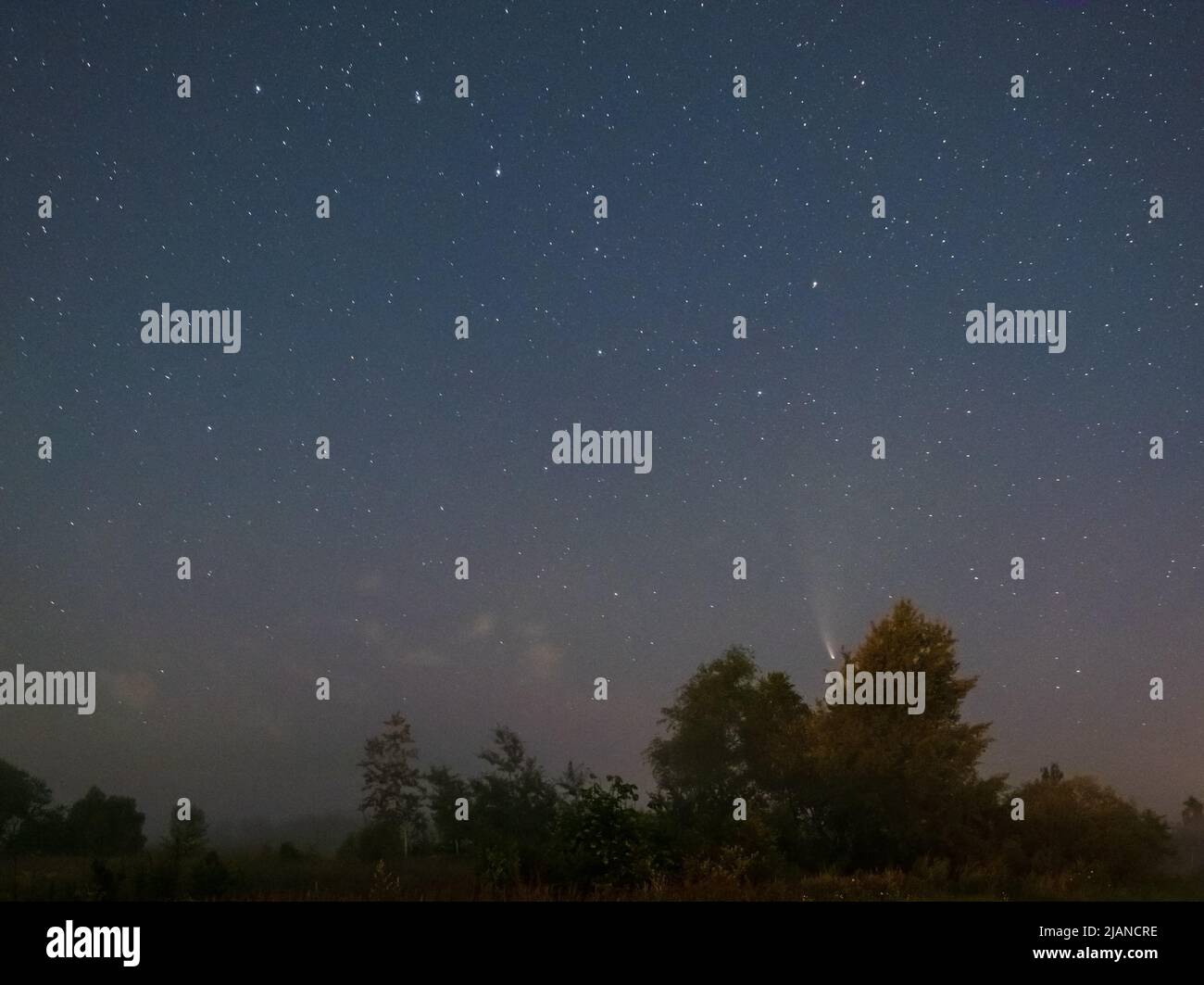 Komet Neowise C2020 F3, wie er im Sommerhimmel über einer Wiese in der Nähe der Landstraße, Region Lviv, Ukraine fliegt. Stockfoto