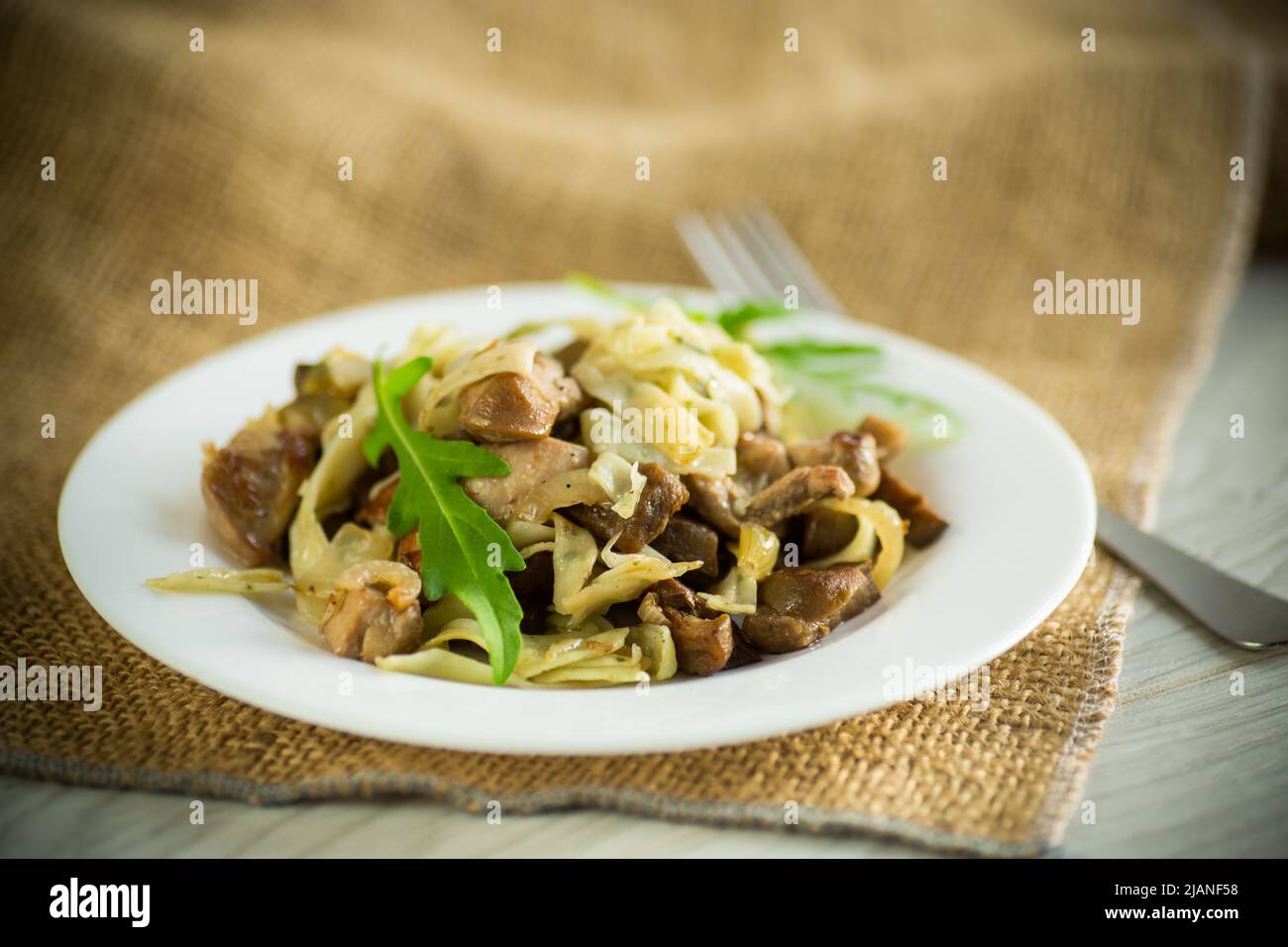 Hausgemachte gekochte Nudeln mit Fleisch und Auberginen auf einem Teller Stockfoto