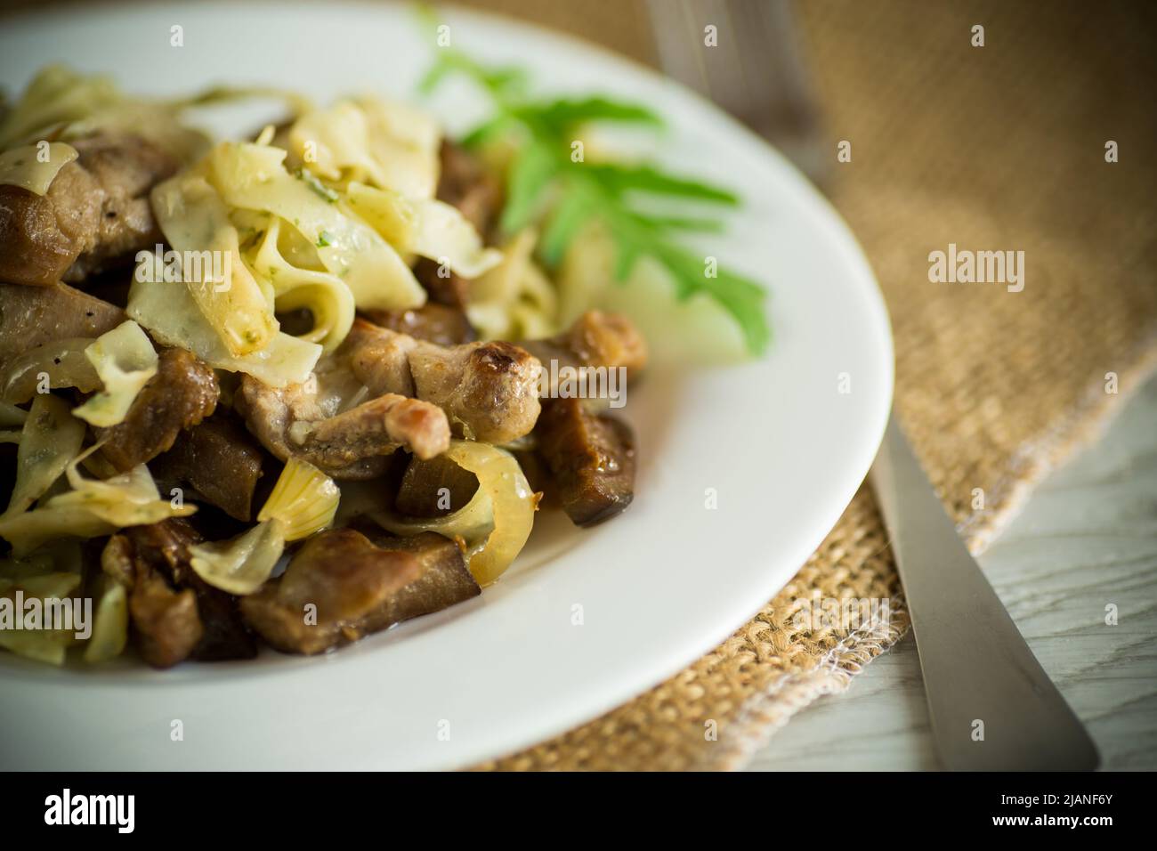 Hausgemachte gekochte Nudeln mit Fleisch und Auberginen auf einem Teller Stockfoto