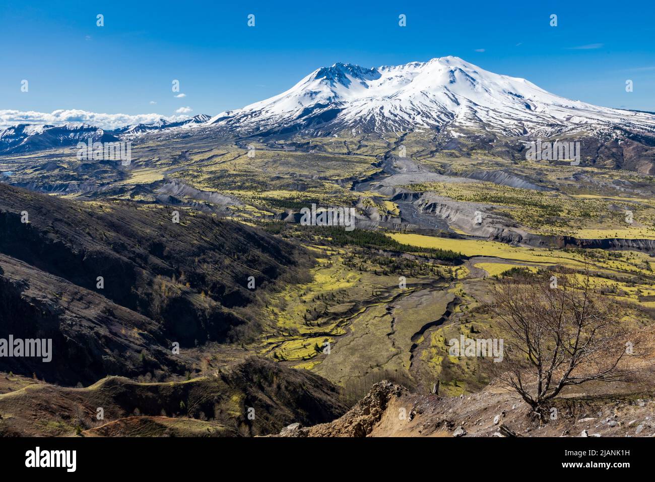 Teilweise schneebedeckte St. Mt. Der Vulkan Helens und das üppig grüne Tal unter einem klaren blauen Himmel im Frühling im Bundesstaat Washington. Stockfoto