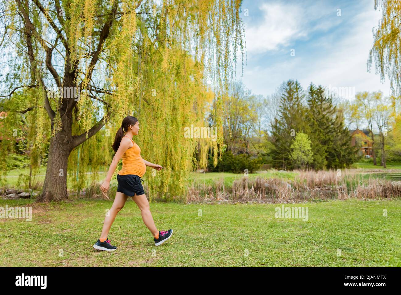 Pränatales Training Schwangerische Frau, die im Park spazieren geht und während der Schwangerschaft einen aktiven Lebensstil lebt. Tägliche Spaziergänge im Sommer im Freien Stockfoto