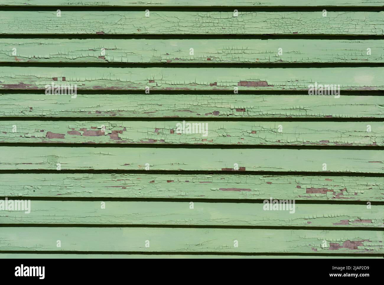 Sehen Sie sich die grüne Farbe an, die sich von der Holzseitenverkleidung abblättert. Dies ist eine Nahaufnahme, die das Abplatzen auf den alten, wettergewitterten Holzbrettern zeigt. Stockfoto