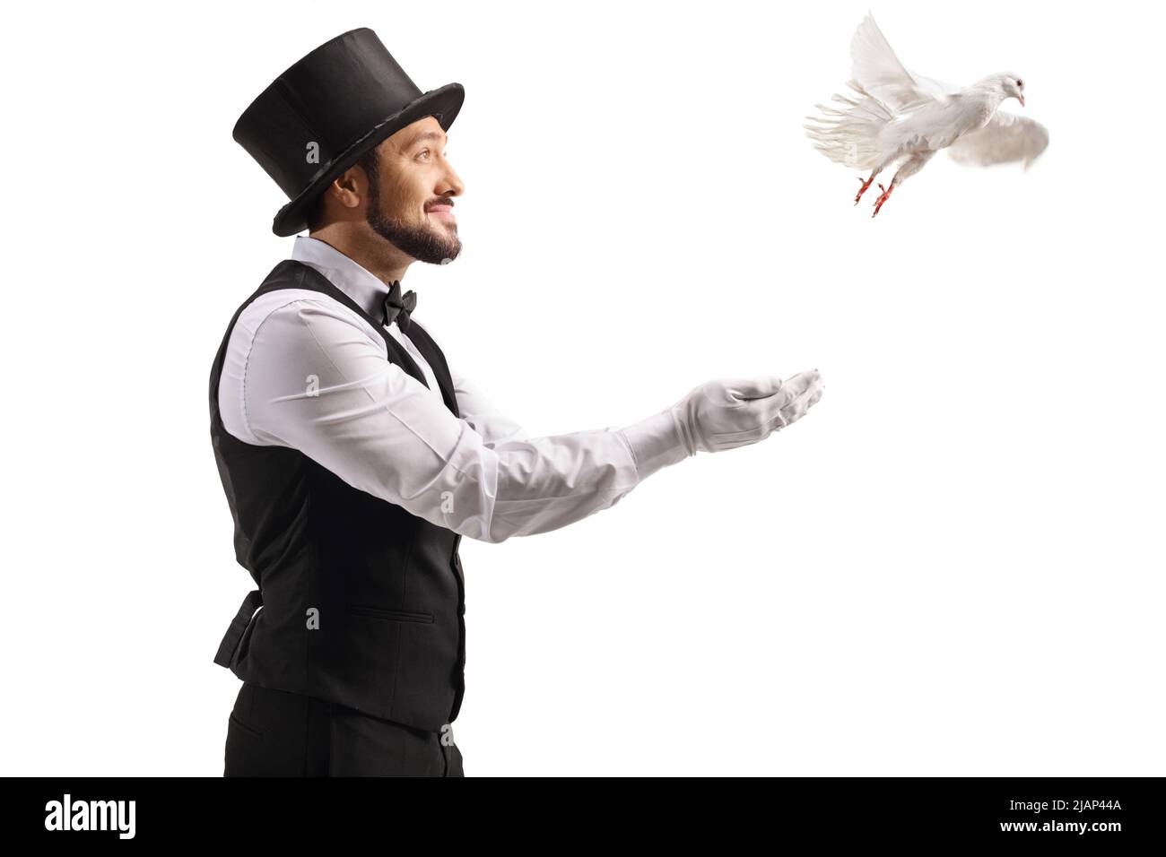 Magier lässt eine weiße Taube aus seiner Hand fliegen, isoliert auf weißem Hintergrund Stockfoto