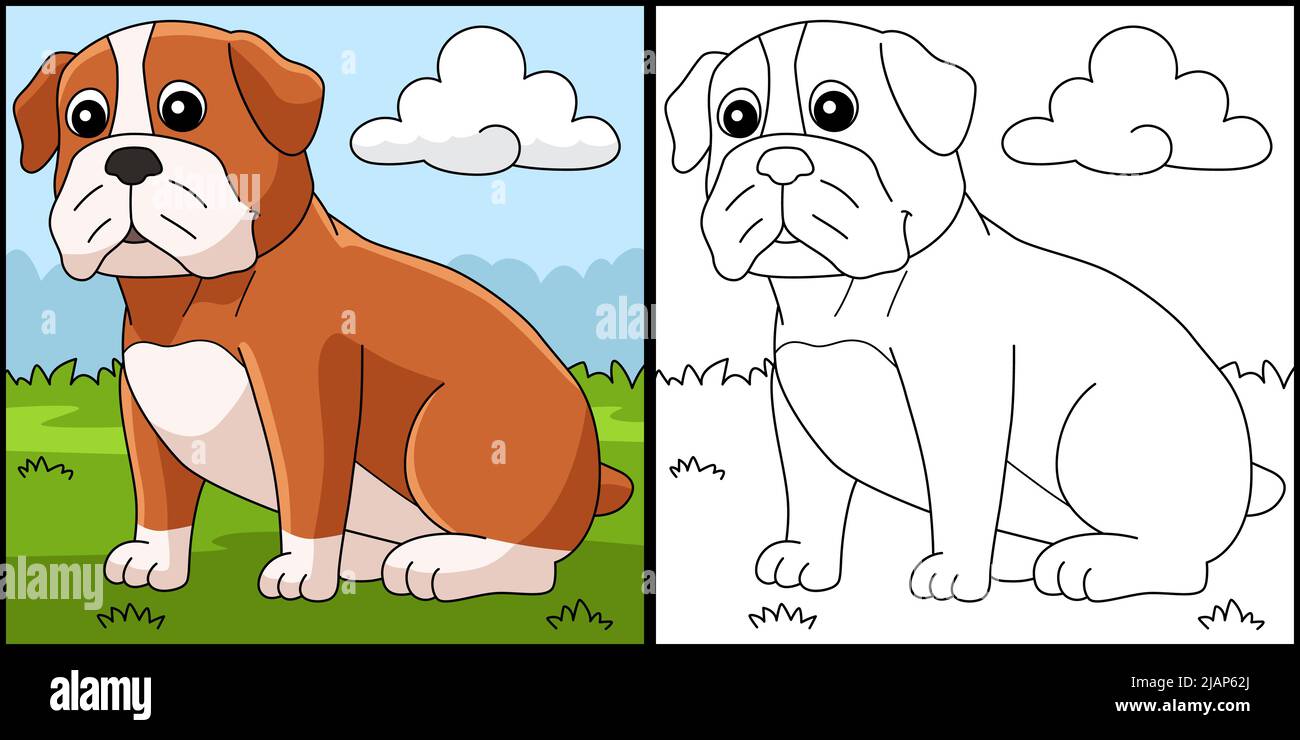Bulldog Dog Coloring Page Farbige Illustration Stock Vektor