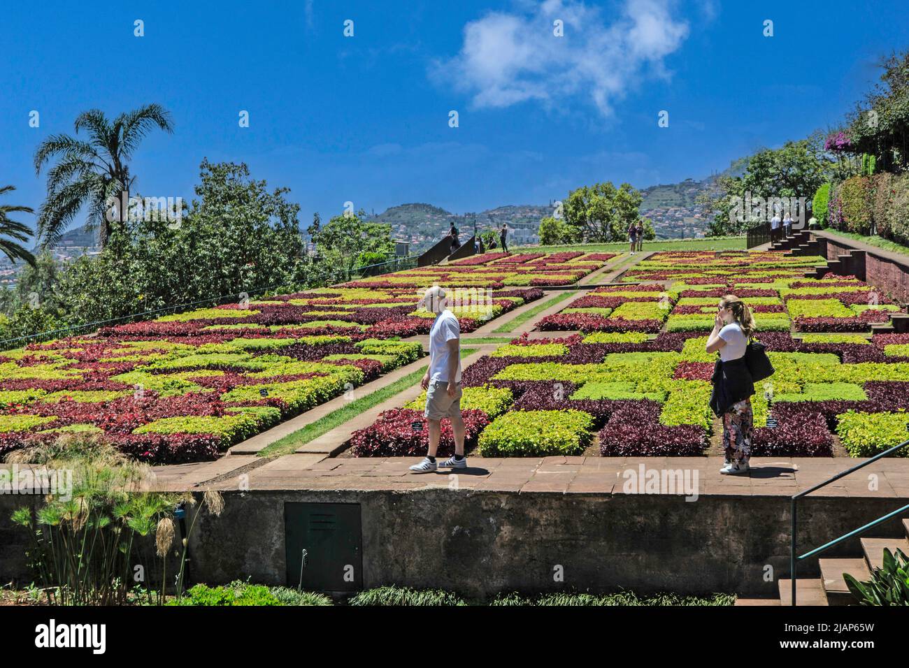 Der Botanische Garten in Funchal, Madeira. Stockfoto