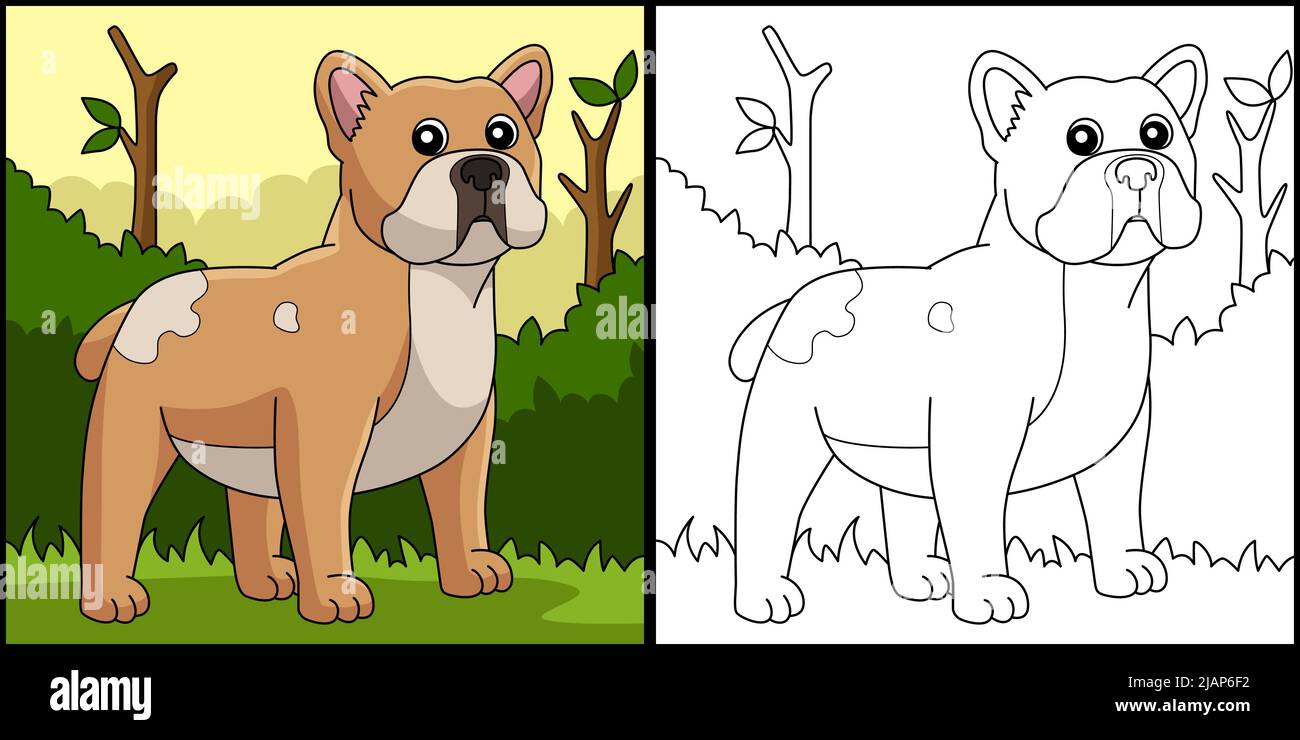 Französisch Bulldog Hund Färbung Page Illustration Stock Vektor
