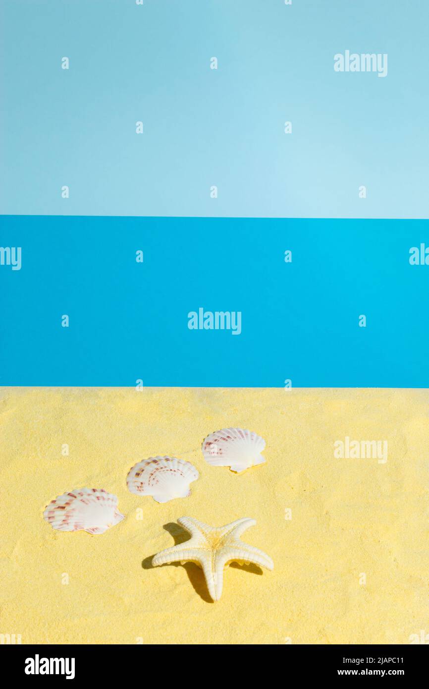 Sommerszene mit Muscheln und Seesternen am Strand. Minimales ästhetisches Konzept. Stockfoto