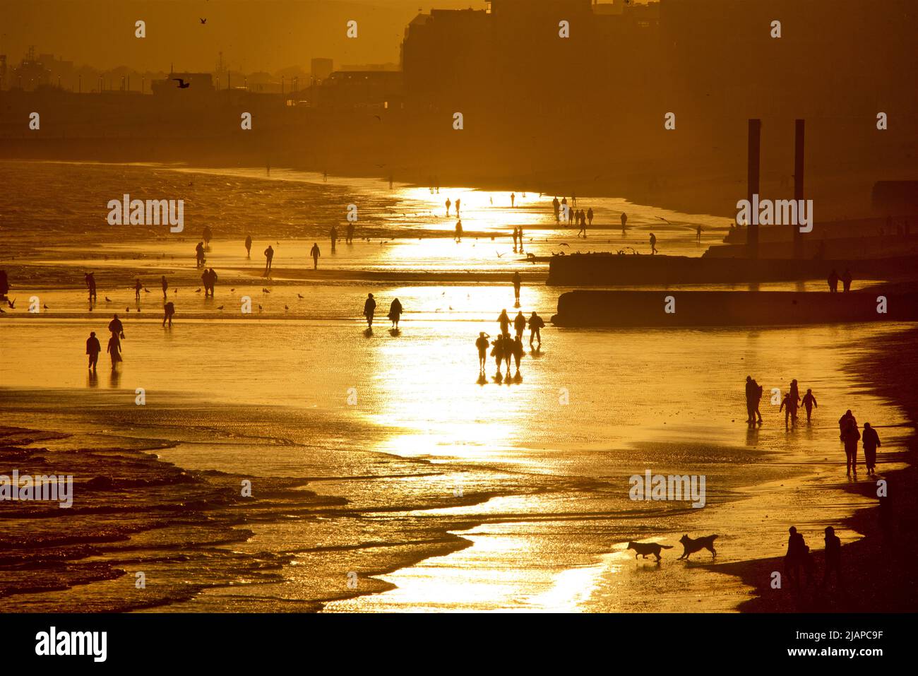 Silhouetten von Menschen am Strand bei Ebbe, Brighton & Hove, East Sussex, England, Großbritannien. Shoreham Power Station in der Ferne. Vertikale gusseiserne Säulen des alten West Pier auf der rechten Seite. Stockfoto