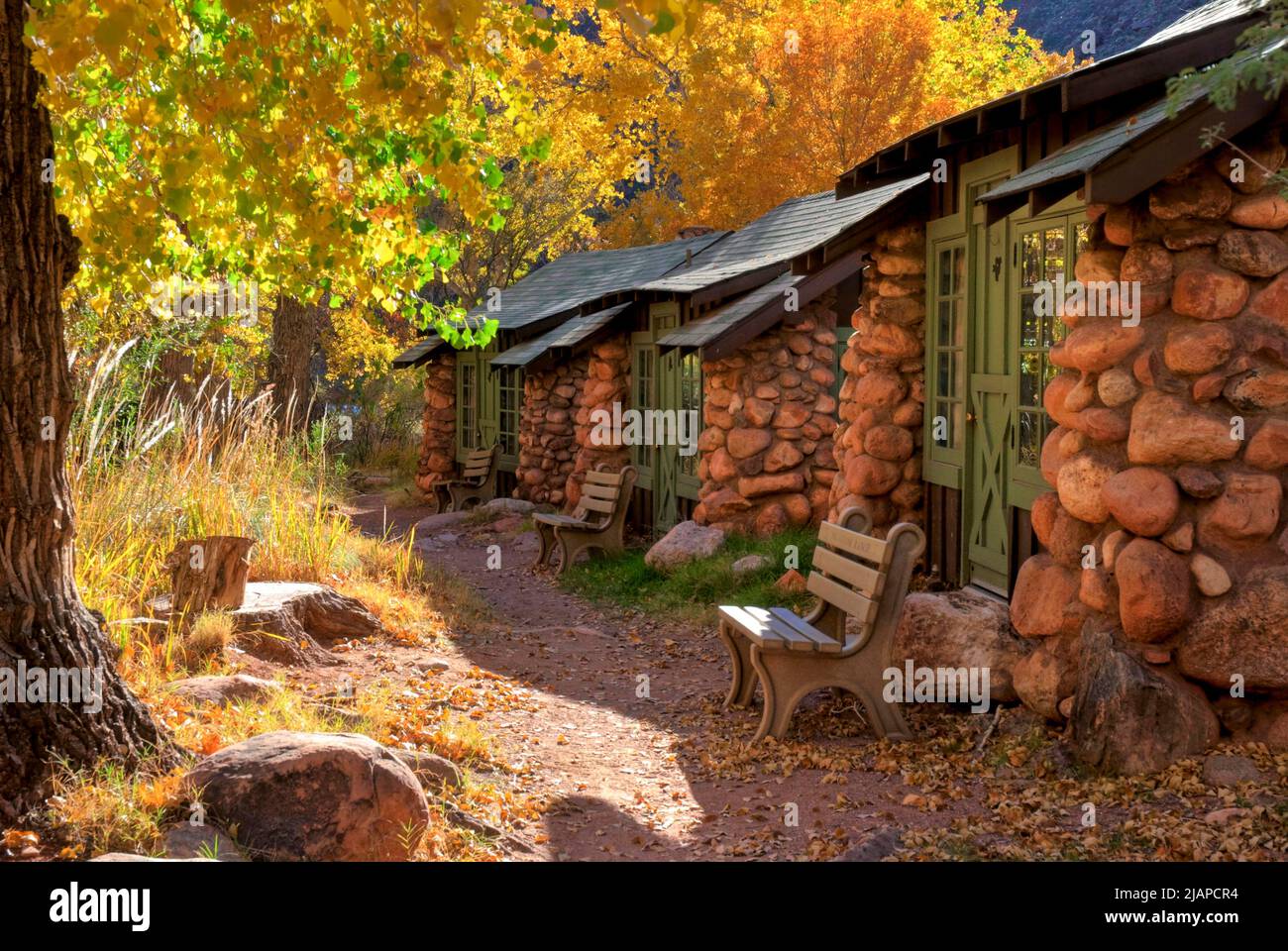 Grand Canyon National Park, Arizona, Vereinigte Staaten von Amerika. . Die Kabinen der Phantom Ranch aus den 20er Jahren, die von Mary Coulter entworfen wurden, werden mit der Wintersonne, die durch goldene Baumwollholzblätter gefiltert wird, angezündet. Eine optimierte Version eines US National Park Service. Bildnachweis: NPS Stockfoto