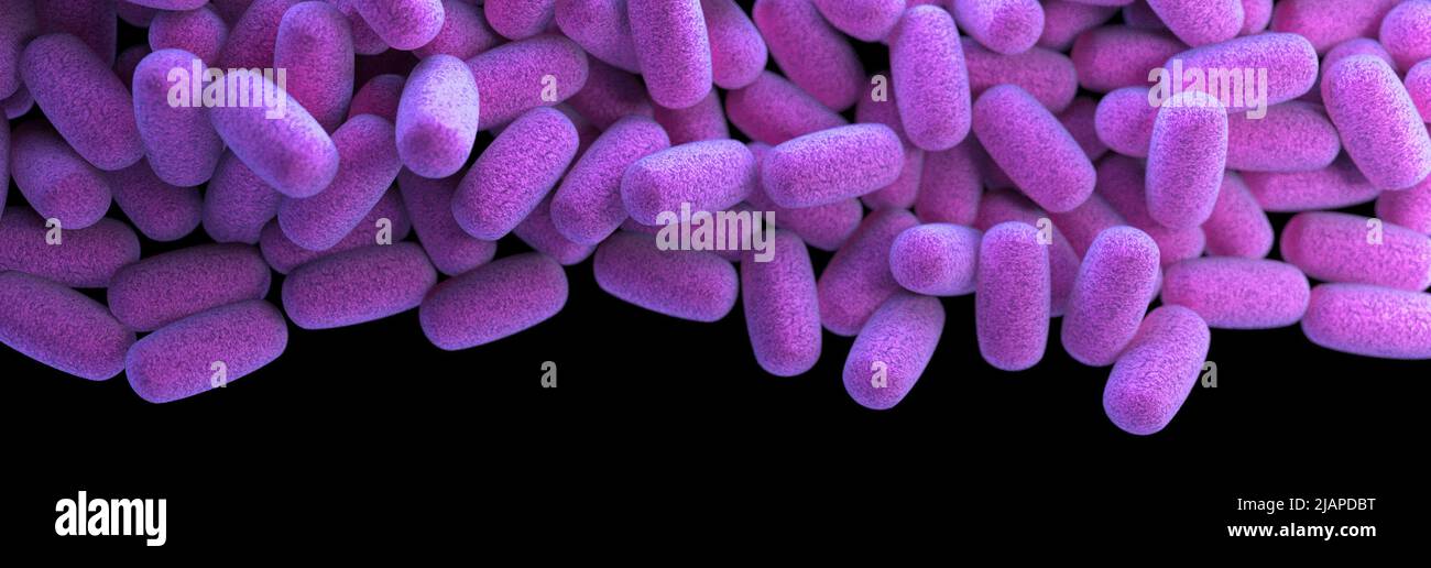 Eine Gruppe von tonnenförmigen, Clostridium perfringens Bakterien. Falsch-farbig interpretierte künstlerische Darstellung basierend auf Rasterelektronenmikroskopischen (SEM) Bildern. Stockfoto