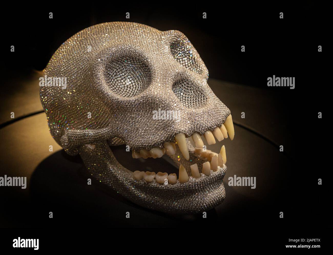 Der Diamond Ape Skull AmsterdamÕs HirstÕs eines der Meisterwerke des Diamond Museums, inspiriert von Damiens Diamond Skull for the Love of God. Royal Coster Diamonds machte seine eigene Variation davon, indem sie einen Gorilla-Schädel mit unzähligen kleinen Brillanten übersäte. 17.000 Diamanten. NUR FÜR REDAKTIONELLE ZWECKE Stockfoto