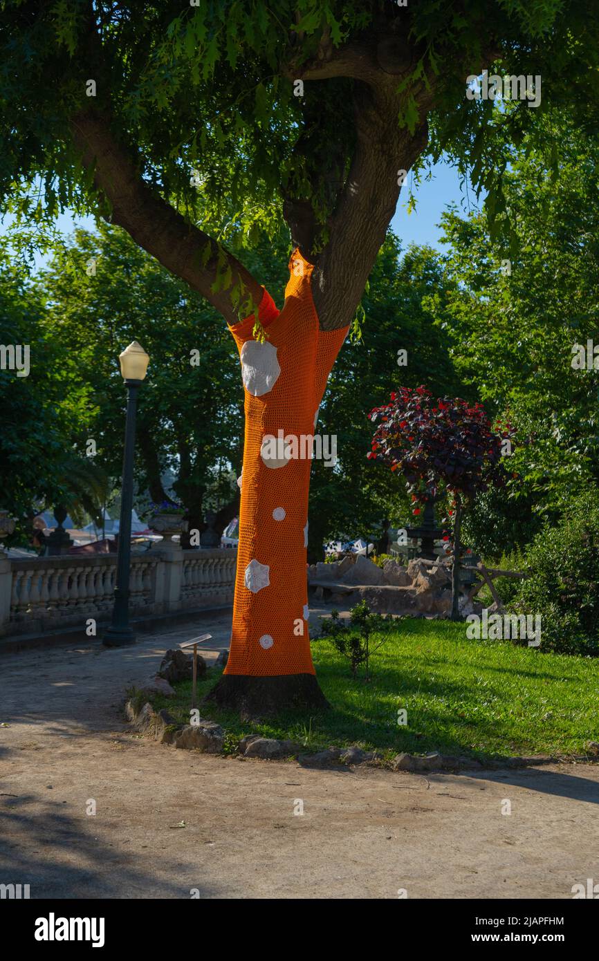 Baumstamm mit gestricktem bunten Cover Stockfoto