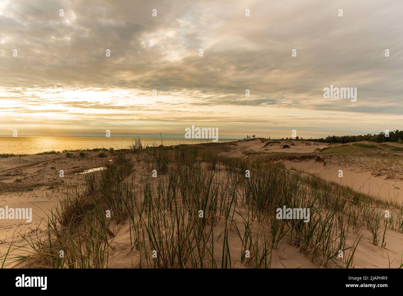 Grasbewachsene Sanddünen und Lake Michigan bei Sonnenuntergang Stockfoto