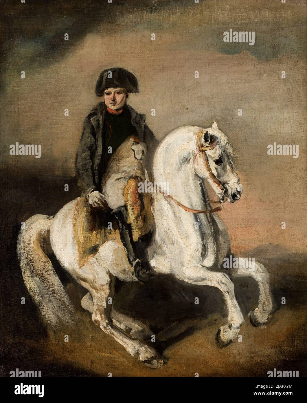 Napoleon auf dem PferderackMicha Stockfoto