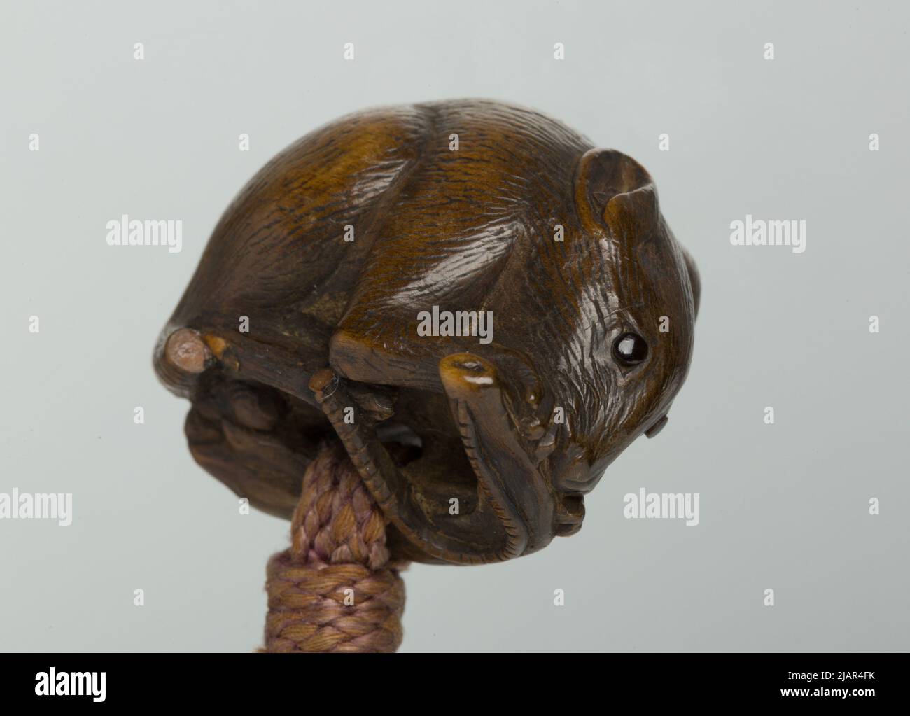 CDK Koma kyoryu Stockfoto