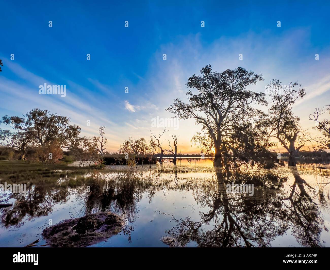 Blauer Himmel und Sonnenuntergang mit Bäumen in Silhouette und ihre Spiegelungen auf einem See. Stockfoto