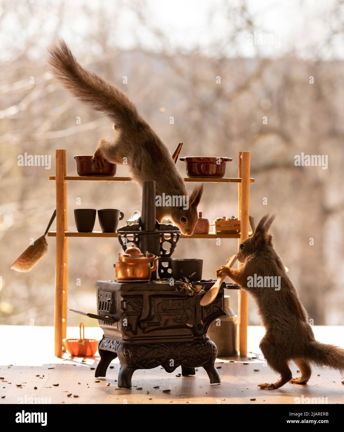 Rotes Eichhörnchen hält einen Löffel in einer Küche Stockfoto