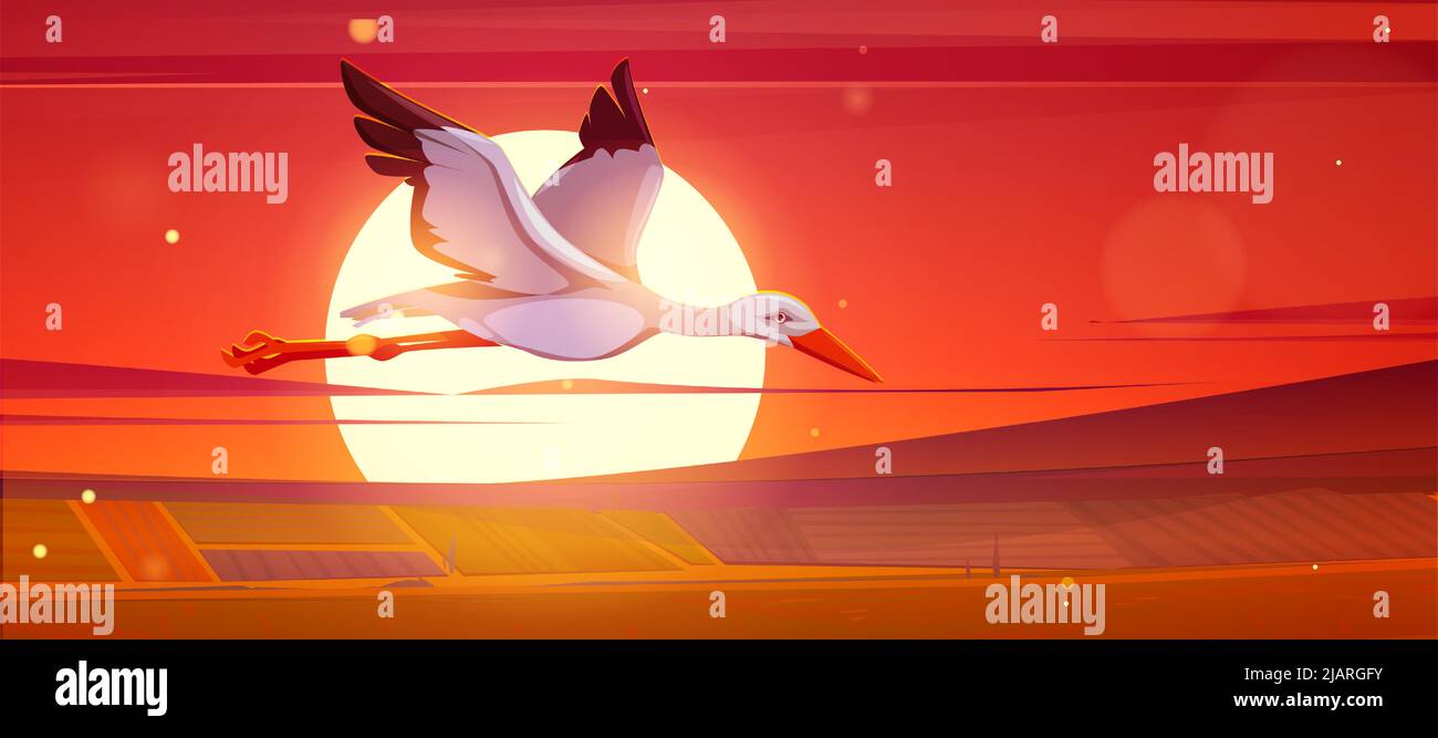 Weißstorch, der vor dem Hintergrund der großen Sonnenuntergangssonne über den Feldern der Landwirtschaft fliegt. Vektor-Cartoon-Illustration der ländlichen Landschaft, Landschaft mit wilden Vogel Zikonie am Abend Stock Vektor