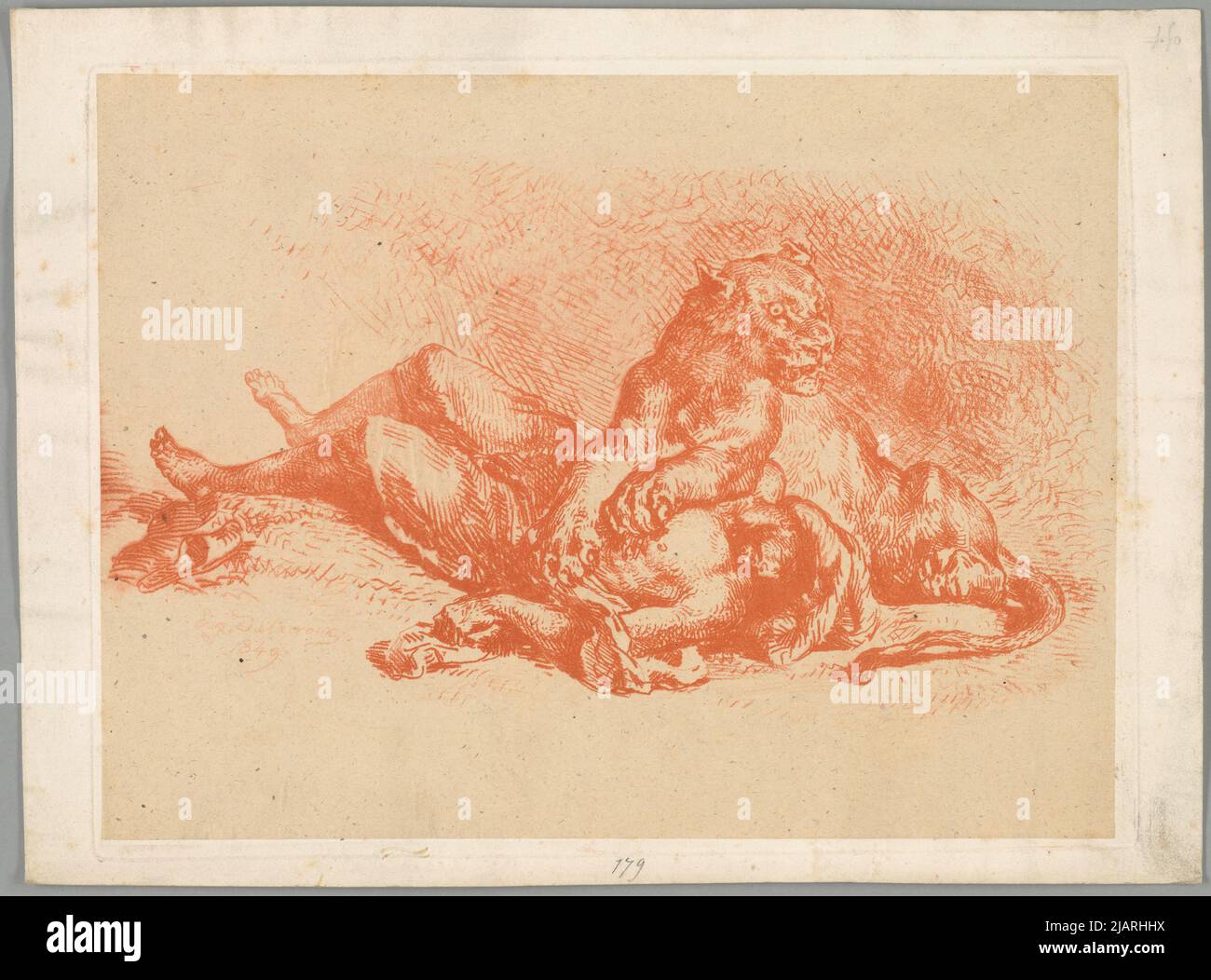 Opfer und Löwin Delacroix, Eugène (1798 1863) Stockfoto