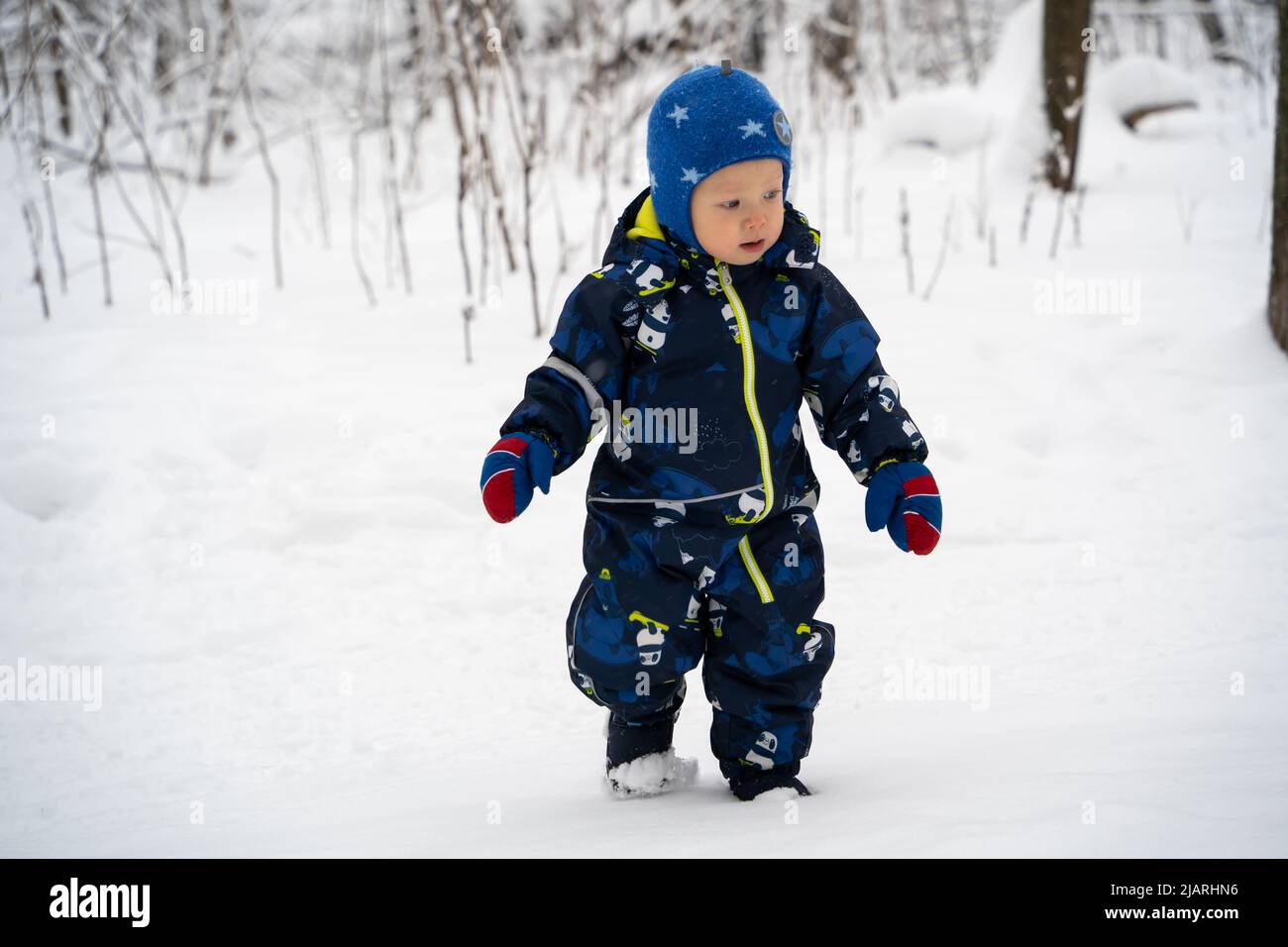 Fröhliche neugierige und unabhängige Kleinkind geht auf dem Weg im Winterwald. Ein kleiner Junge in warmen Overalls und einem Hut genießt einen Spaziergang im Sieg Stockfoto