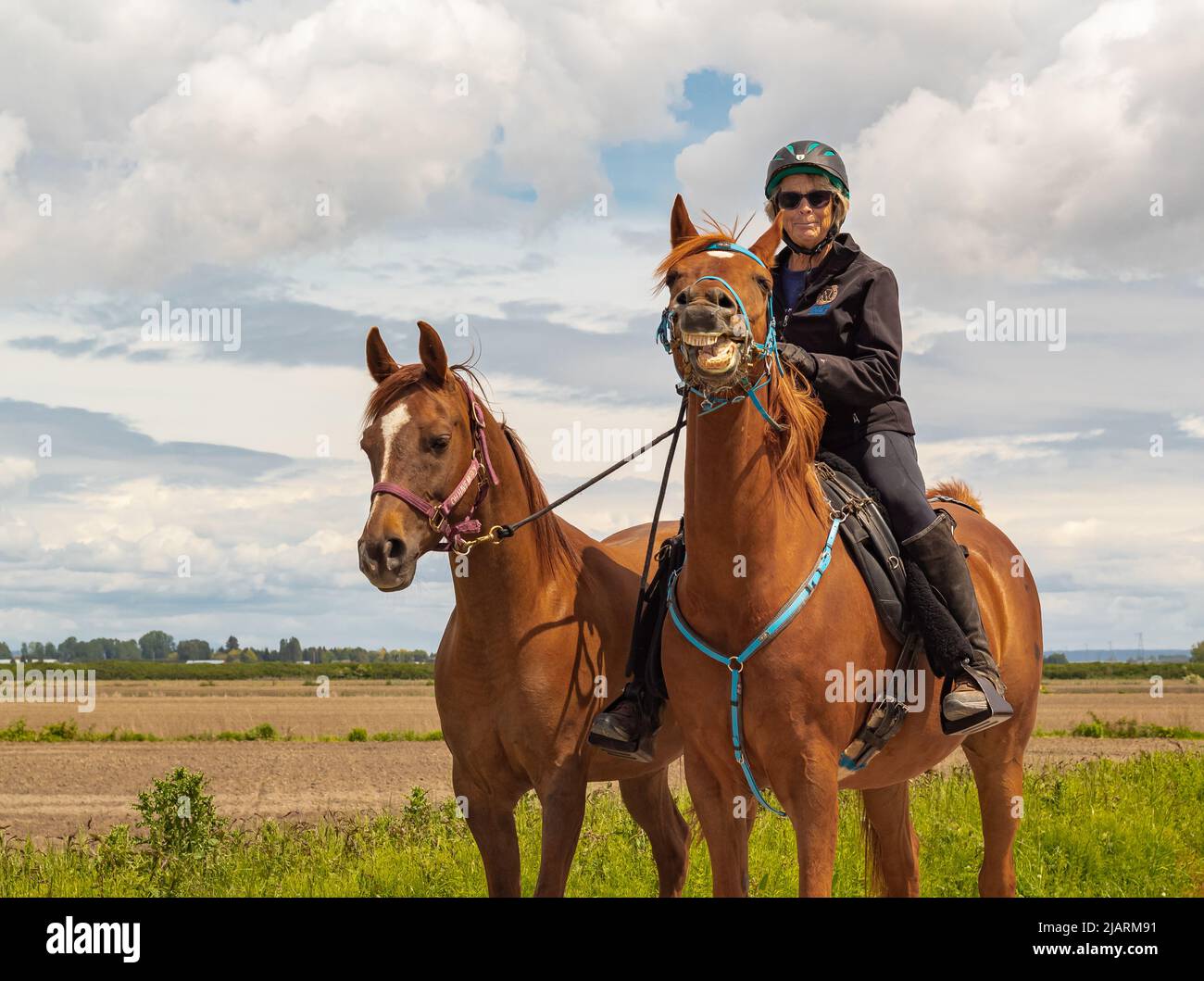 Eine Frau, die auf einem Pferd reitet. Dressurreiterin Frau auf Pferd im Park. Pferdesportlerin. Straßenfoto, selektiver Fokus, Editorial-Mai 29,2022-Vancouvere Stockfoto