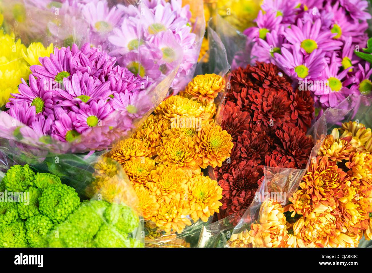 Eine Auswahl an bunten Blumensträußen für Blumenarrangements Stockfoto