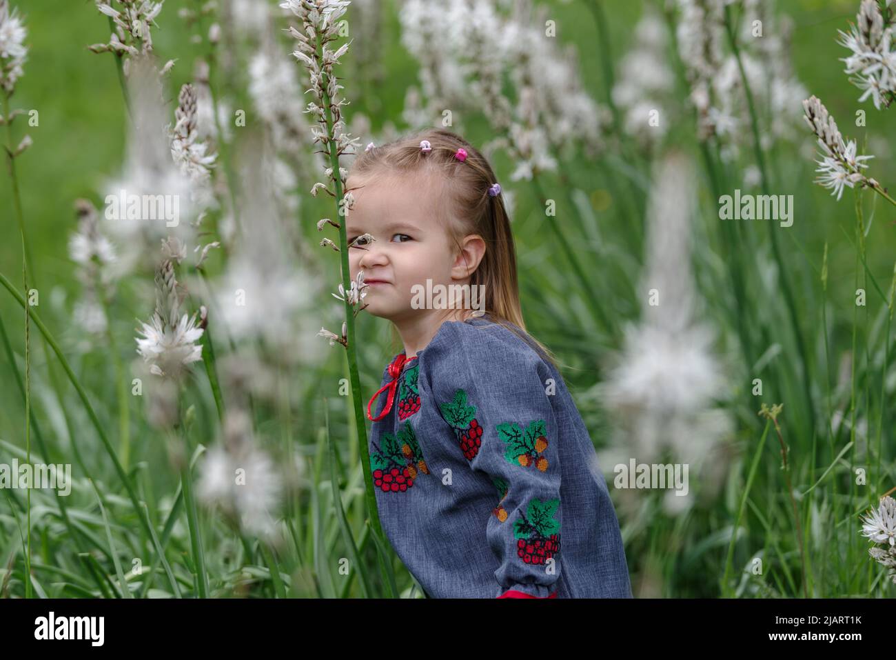Kleines Mädchen auf der Wiese blühende Wildblumen in den ligurischen Alpen, Italien Stockfoto