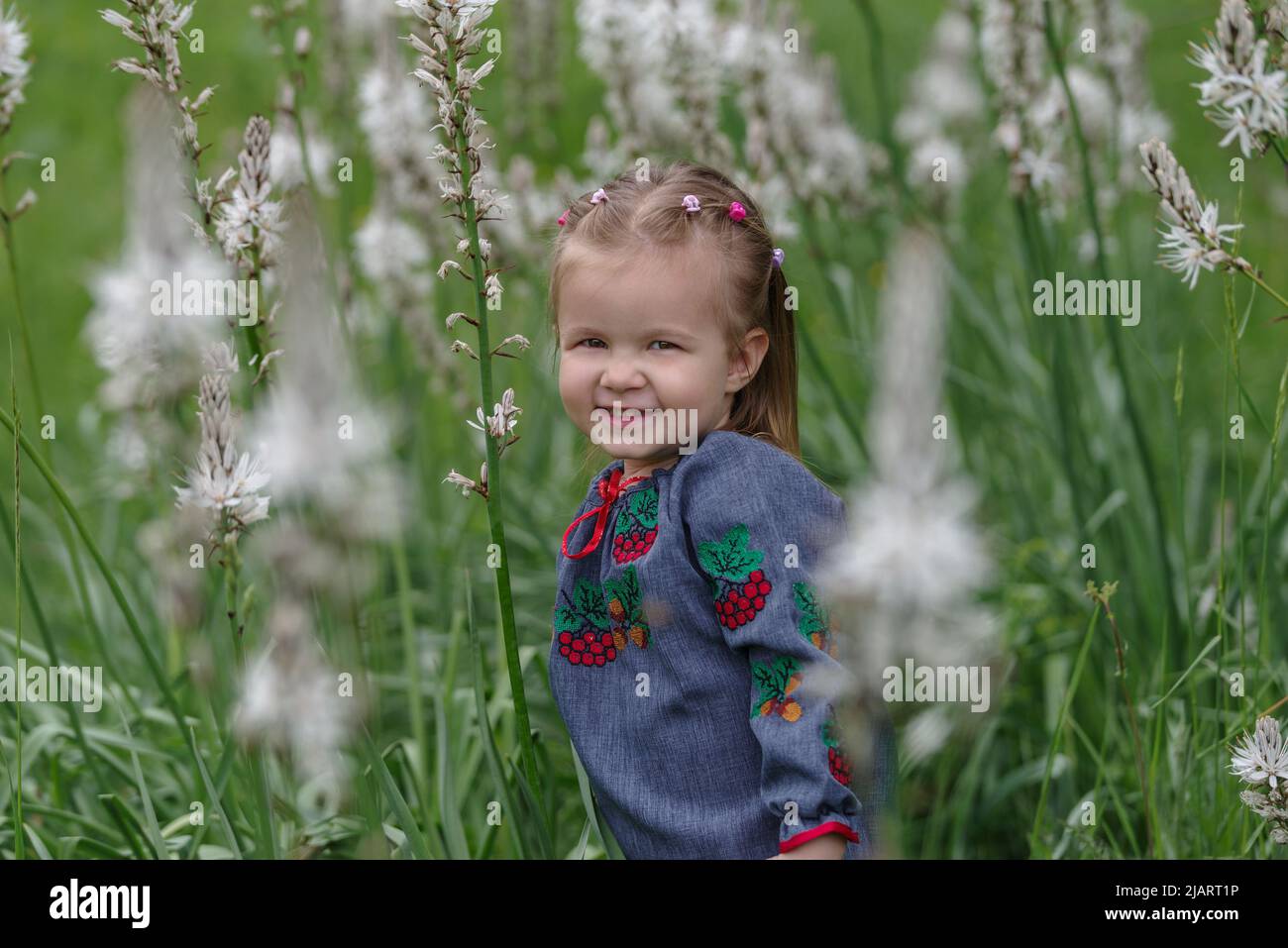 Kleines Mädchen auf der Wiese blühende Wildblumen in den ligurischen Alpen, Italien Stockfoto