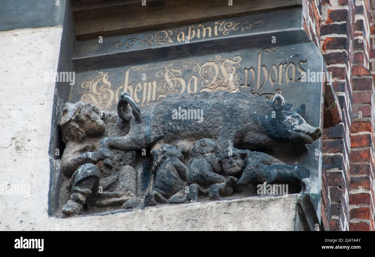 Judenau antisemitische Skulptur an der Fassade der evangelischen Kirche in Wittenberg Stockfoto